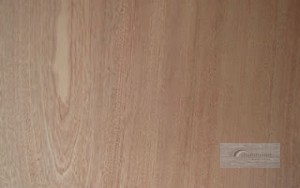 KEO SỮA - KEO GHÉP GỖ 02 THÀNH PHẦN  AD - 301